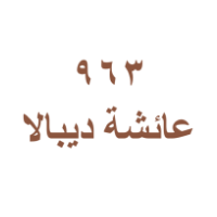 963 Ayesha Depala Logo